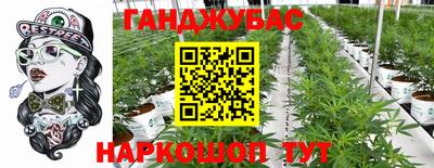PSILOCYBIN Можга